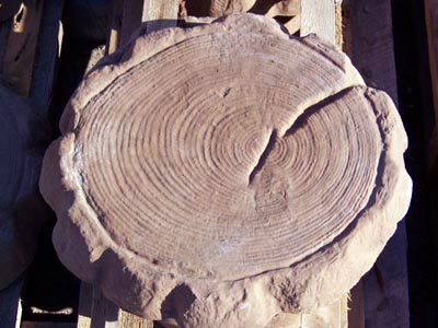 Round Logs Livonia Michigan, Patio Blocks Livonia Michigan, Porch Steps Livonia Michigan, Cement Edging Livonia Michigan