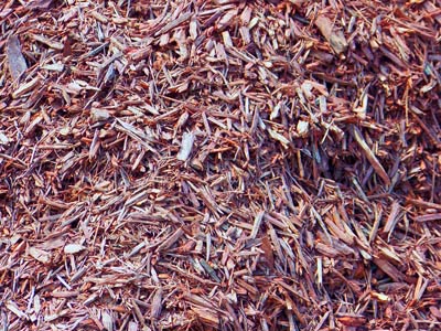 Brown Mulch Farmington Hills Michigan, Brown Mulch West Bloomfield Michigan, Brown Mulch Livonia Michigan, Brown Mulch Southfield Michigan, Brown Mulch Detroit Michigan, Brown Mulch Northville Michigan, Brown Mulch Novi Michigan, Mulches Farmington Hills Michigan, Mulches West Bloomfield Michigan, Mulches Livonia Michigan, Mulches Southfield Michigan, Mulches Detroit Michigan, Mulches Northville Michigan, Mulches Novi Michigan, Topsoil Farmington Hills Michigan, Topsoil West Bloomfield Michigan, Topsoil Livonia Michigan, Topsoil Southfield Michigan, Topsoil Detroit Michigan, Topsoil Northville Michigan, Topsoil Novi Michigan