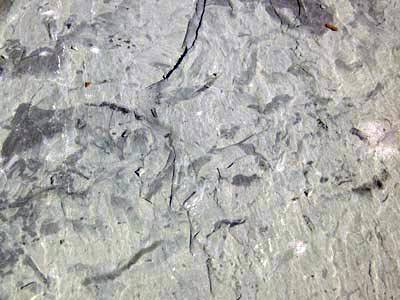 Vermont Slate Purple Northville Michigan, Flagstone Northville Michigan, Ledge Northville Michigan, Rock Northville Michigan, Slate Northville Michigan