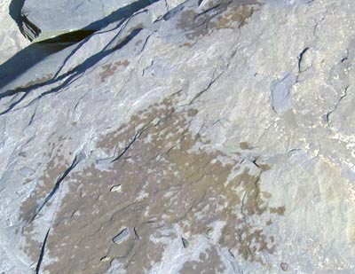 Vermont Slate Purple Northville Michigan, Flagstone Northville Michigan, Ledge Northville Michigan, Rock Northville Michigan, Slate Northville Michigan